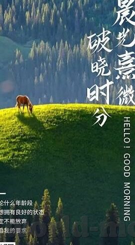 91麻豆在线视频-91 麻豆，了解成人娱乐背后的社会反思与现象