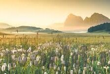 精品国产一区二区三区av性色-国产影视的多元化探索，一区、二区、三区的文化与艺术