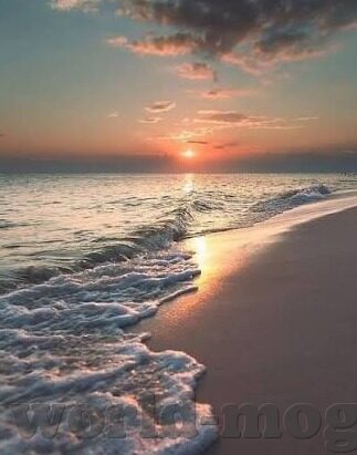 久久久久亚洲国产av麻豆-一瞥背后的故事，久久久与麻豆的交汇